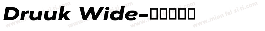 Druuk Wide字体转换